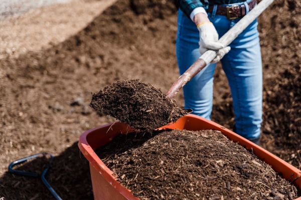 Top conseils pour un bac à compost efficace et durable